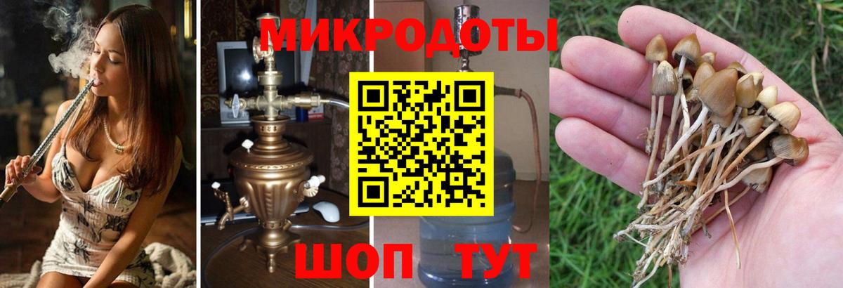 Галлюциногенные грибы MAGIC MUSHROOMS Новотроицк