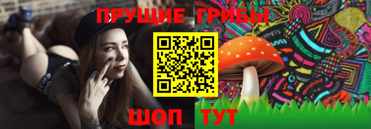 Псилоцибиновые грибы мицелий  Галлюциногенные грибы мицелий  Новотроицк  Вход с VPN 
