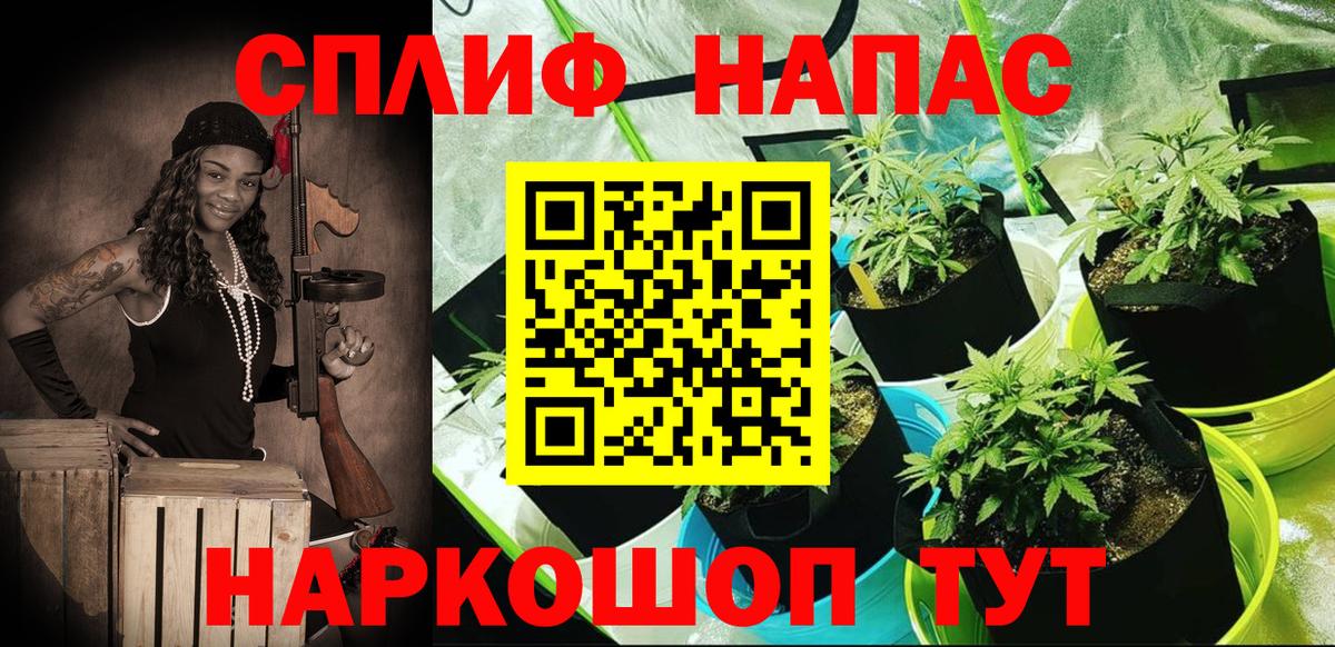Каннабис Amnesia Новотроицк